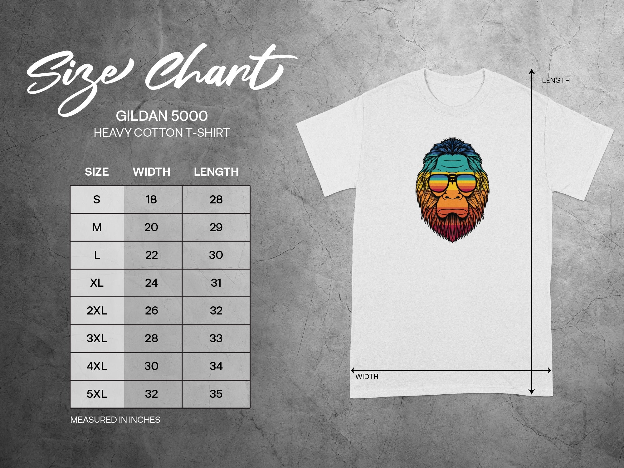 Gildan 5000 Heavy Cotton T-Shirt size chart with width and length measurements in inches.